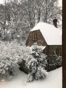 Beautiful converted Stable in peaceful Somerset, close to the Jurassic Coast