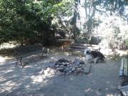 Top Czarna Białostocka Top Czarna Białostocka