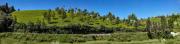 Top Ooty