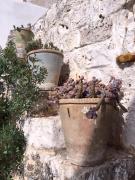 Top Ostuni