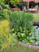 Top Villeneuve d'Ascq