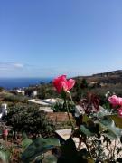 Top Santa Cruz de la Palma