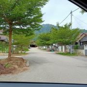 Ms Homestay jeli