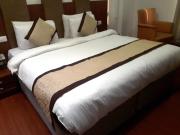 Airport Hotel Golden Bliss Near Delhi Airport