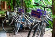 Top Amphawa