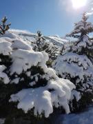 Top Les Deux Alpes
