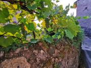 Top Thonon-les-Bains