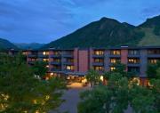 Top Aspen