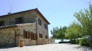 Top Todi