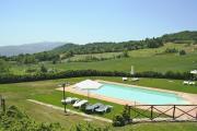 Top Todi