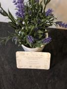 Top Levallois-Perret