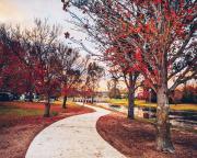 Top Stanthorpe