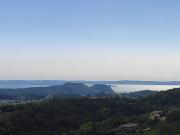 Top Caprino Veronese Top Caprino Veronese