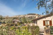 Top Assisi
