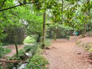 Top Cangas de Morrazo