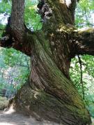 Top Aldeanueva del Camino