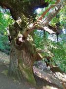 Top Aldeanueva del Camino