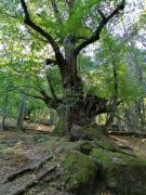 Top Aldeanueva del Camino