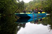 Top Tortuguero Top Tortuguero