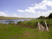 Top Dullstroom