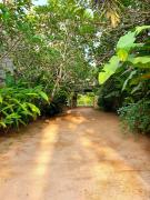 Dunes Unawatuna Hotel