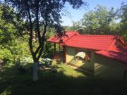 Top Vrdnik