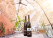 Top Neustadt an der Weinstraße