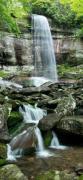 Top Pigeon Forge