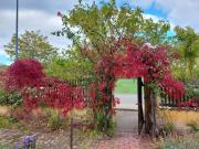 Top Wernigerode Top Wernigerode