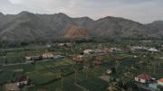 Top Amed