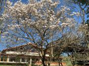 Gardenian Boutique Hotel