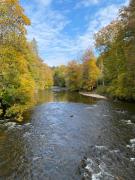 Top Kressbronn am Bodensee