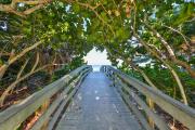 Top Clearwater Beach