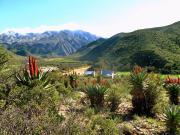Top Calitzdorp