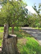 Top Piedimonte Etneo