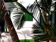 Top Playa del Ingles