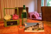 Top Willingen
