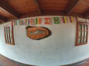 Top Temuco