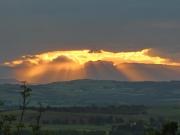 Sycamore Avenue Treehouses & Cottages Accommodation