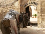 Top Mardin