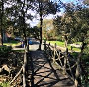 Woodlands Holiday Apartments