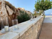 Top Gerani Top Gerani