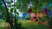 Top Alleppey