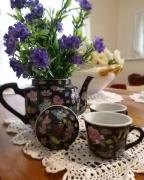 Top San Felice a Cancello Top San Felice a Cancello