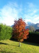 Top Aosta