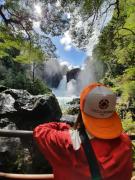 Top Neltume Top Neltume