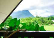 Top Chiang Dao