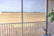 Top Ocean View