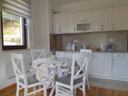 Vila Irina - Apartman Miloš