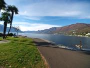 Top Ascona Top Ascona